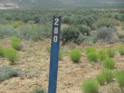 trail_number