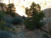 dave_in_the_crevice