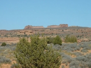desert