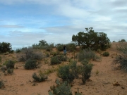 susan_checking_scenery