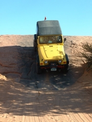 tom_down_a_steep_one