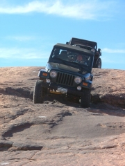 ladd_on_the_trail