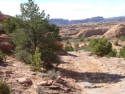 rocky_trail