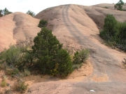tire_marks
