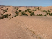 trail_in_the_distance
