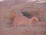 dinosaur_in_the_rock_part_1