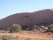 dinosaur_in_rock