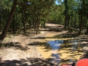 top_of_the_trail