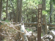 trail_sign