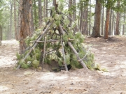 lean-to