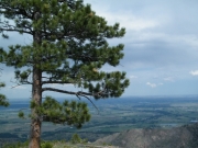overlook_part_1