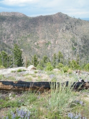overlook_part_6