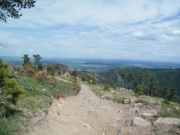 working_our_way_down