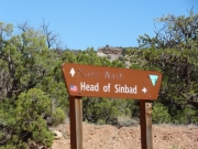 cane_wash_sign_2