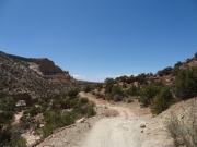dirt_trail