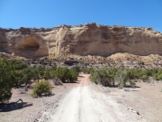 mesa