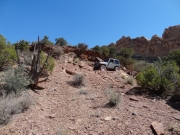 walt_on_the_trail