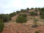 bob_down_rubble_hill