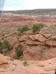 canyon_edge