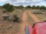 dirt_tracks