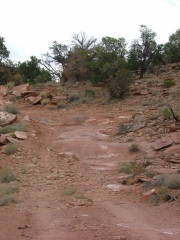 easier_trail