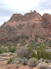hammerhead_rock