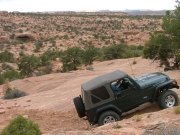 ladd_on_the_trail