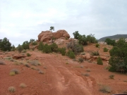 red_dirt