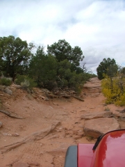 rocks