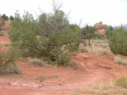 start_of_the_trail