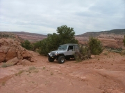 wayne_on_the_trail
