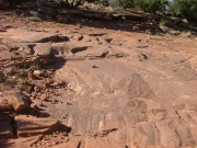 early_trail