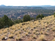 flat_iron_mesa