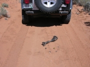 mike_trail_damage_part_1