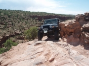 terry_in_the_squeeze