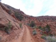 between_switchbacks