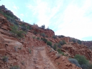 climb_on_slickrock