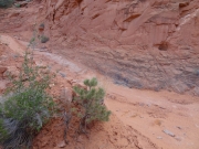 lowest_switchback_part_1