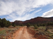 orange_dirt