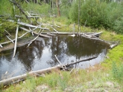 creek_part_1