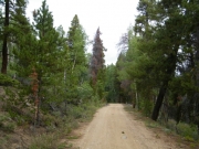mellow_trail