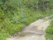 puddle