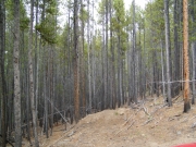 trail_end