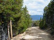 view_on_the_way_down