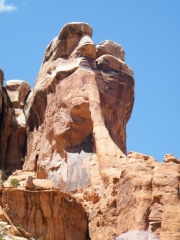 mosquito_arch