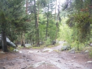 muddy