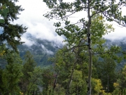 puffy_clouds