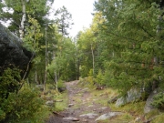rocks