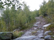 slick_and_rocky