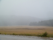 weather